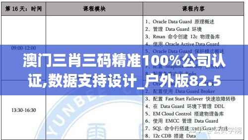澳门三肖三码精准100%公司认证,数据支持设计_户外版82.513-6