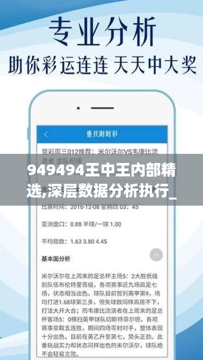 949494王中王内部精选,深层数据分析执行_黄金版8.895-6