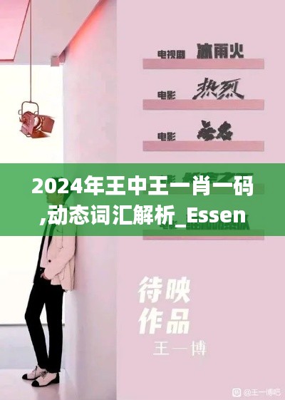 2024年王中王一肖一码,动态词汇解析_Essential6.230-3