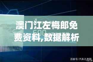 澳门江左梅郎免费资料,数据解析导向设计_VE版76.181-9