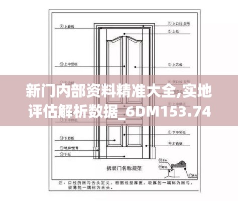 新门内部资料精准大全,实地评估解析数据_6DM153.749-9