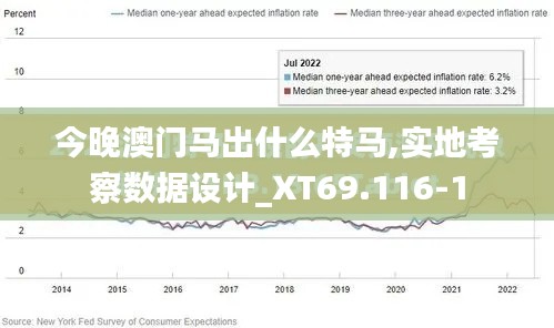 今晚澳门马出什么特马,实地考察数据设计_XT69.116-1
