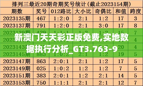 新澳门天天彩正版免费,实地数据执行分析_GT3.763-9