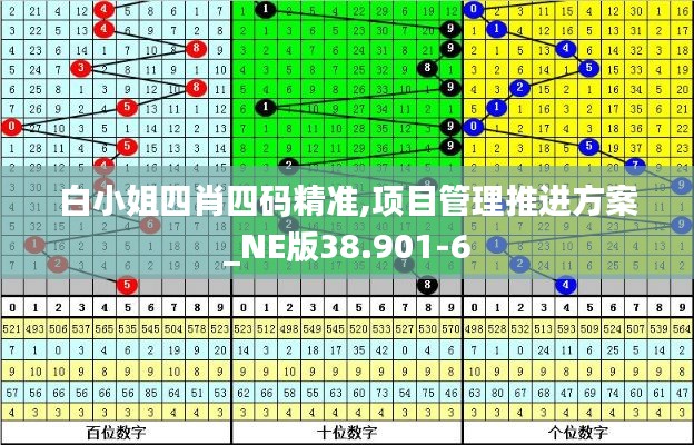 白小姐四肖四码精准,项目管理推进方案_NE版38.901-6