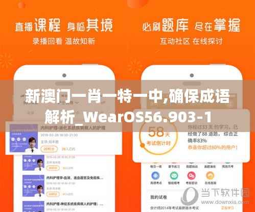 新澳门一肖一特一中,确保成语解析_WearOS56.903-1
