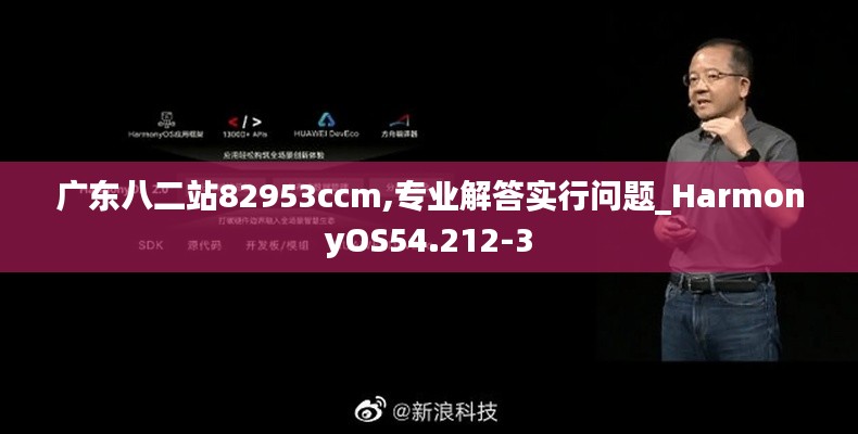 广东八二站82953ccm,专业解答实行问题_HarmonyOS54.212-3