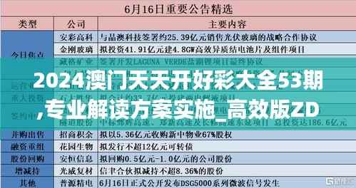 2024澳门天天开好彩大全53期,专业解读方案实施_高效版ZDJ9.205