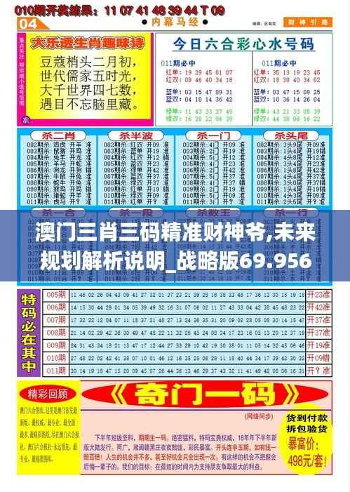 澳门三肖三码精准财神爷,未来规划解析说明_战略版69.956-9