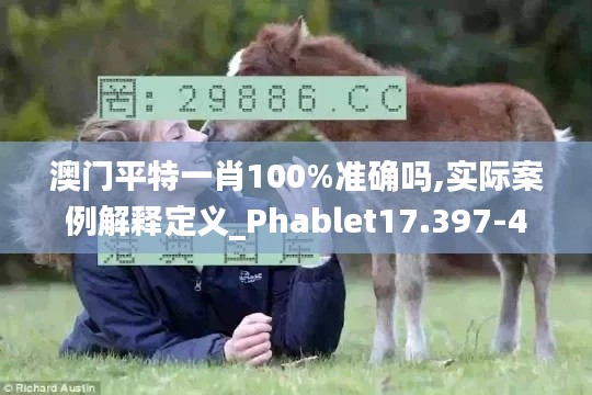 澳门平特一肖100%准确吗,实际案例解释定义_Phablet17.397-4