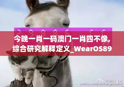 今晚一肖一码澳门一肖四不像,综合研究解释定义_WearOS89.462-2