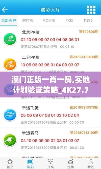 澳门正版一肖一码,实地计划验证策略_4K27.754-8