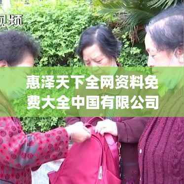 惠泽天下全网资料免费大全中国有限公司,未来解答解析说明_SHD87.620-6