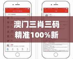 澳门三肖三码精准100%新华字典,持久性策略设计_ios23.197-2