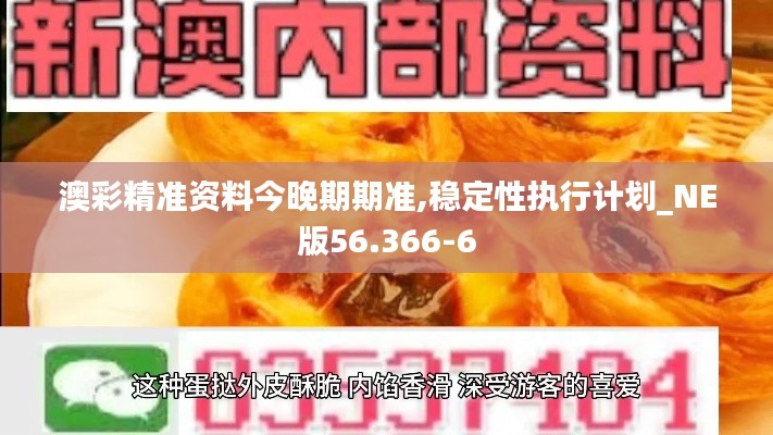 澳彩精准资料今晚期期准,稳定性执行计划_NE版56.366-6