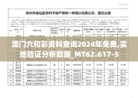 澳门六和彩资料查询2024年免费,实地验证分析数据_MT62.617-5