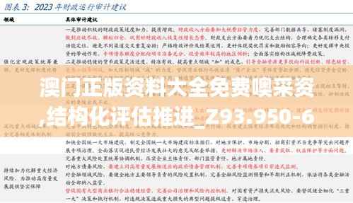 澳门正版资料大全免费噢采资,结构化评估推进_Z93.950-6