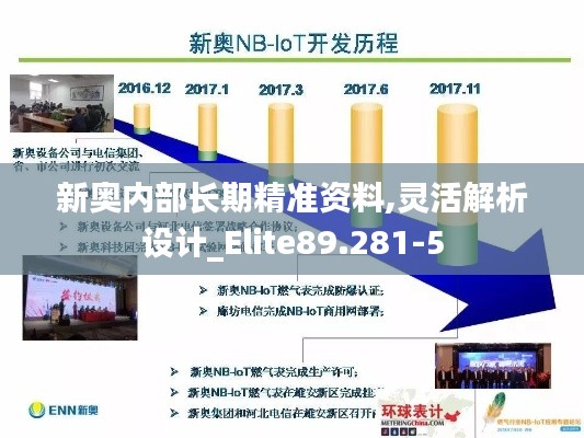 新奥内部长期精准资料,灵活解析设计_Elite89.281-5