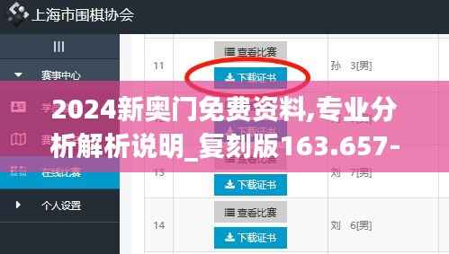 2024新奥门免费资料,专业分析解析说明_复刻版163.657-9