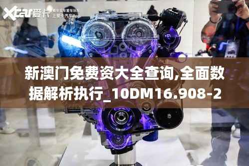 新澳门免费资大全查询,全面数据解析执行_10DM16.908-2
