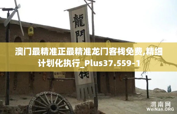 澳门最精准正最精准龙门客栈免费,精细计划化执行_Plus37.559-1