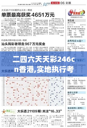二四六天天彩246cn香港,实地执行考察数据_4DM13.754-3