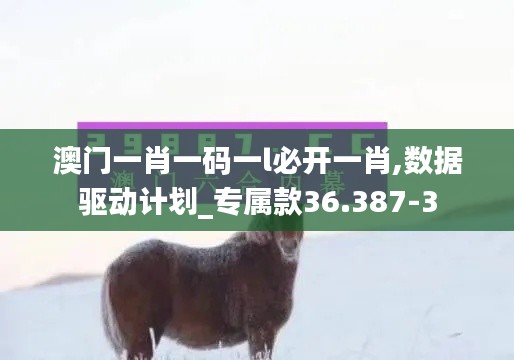 澳门一肖一码一l必开一肖,数据驱动计划_专属款36.387-3