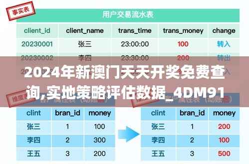 2024年新澳门天天开奖免费查询,实地策略评估数据_4DM91.274-7