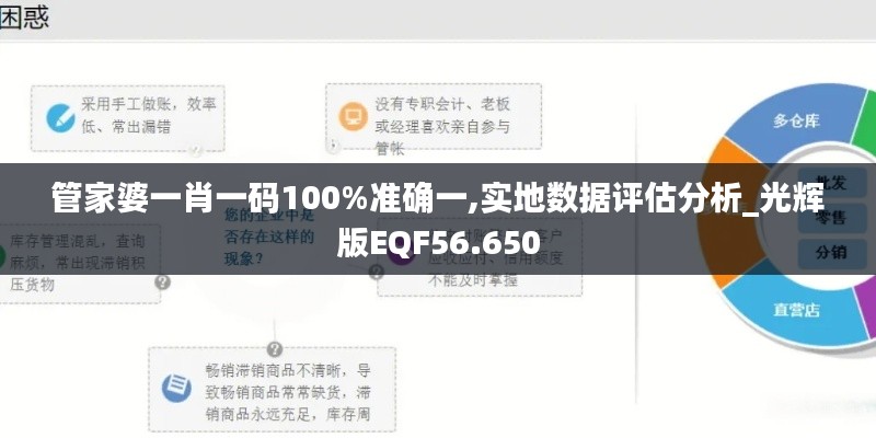 管家婆一肖一码100%准确一,实地数据评估分析_光辉版EQF56.650