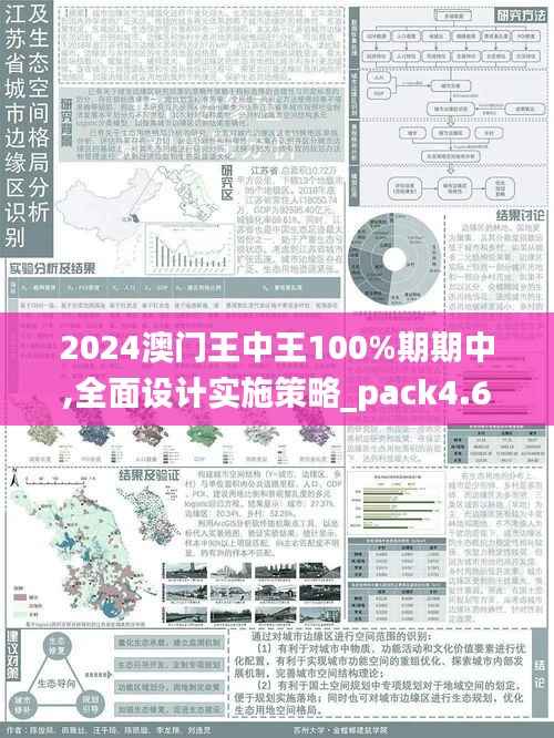 2024澳门王中王100%期期中,全面设计实施策略_pack4.677-3