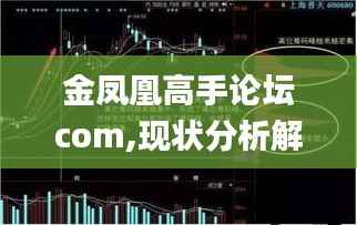 金凤凰高手论坛com,现状分析解释定义_Deluxe16.506-3