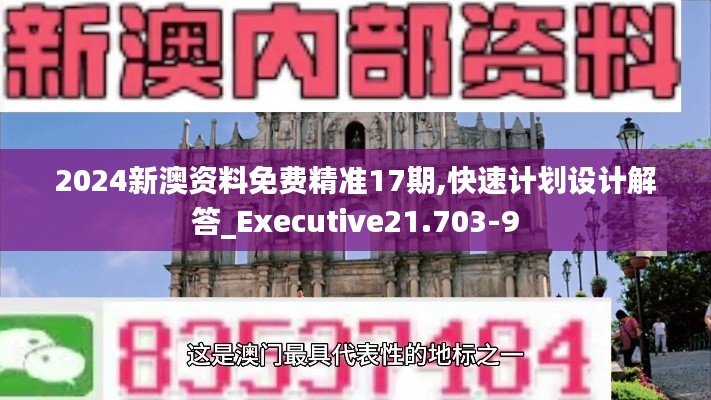 2024新澳资料免费精准17期,快速计划设计解答_Executive21.703-9