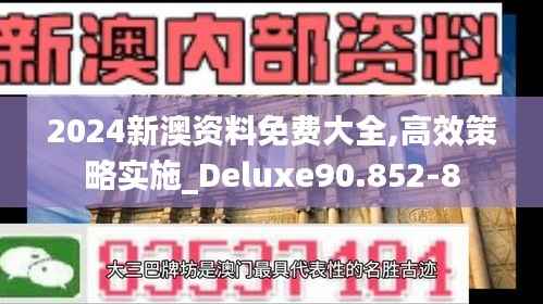2024新澳资料免费大全,高效策略实施_Deluxe90.852-8