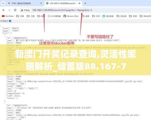 新澳门开奖记录查询,灵活性策略解析_储蓄版88.167-7