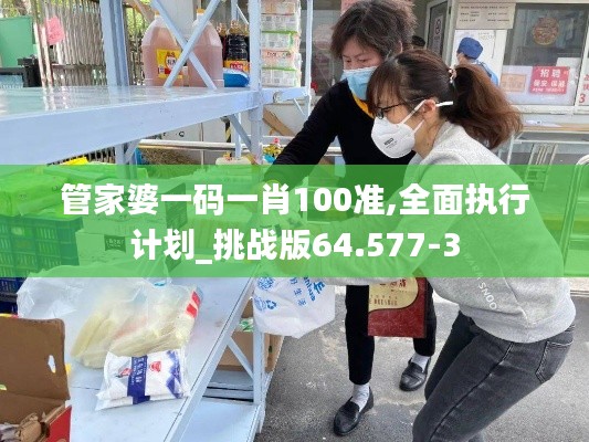 管家婆一码一肖100准,全面执行计划_挑战版64.577-3