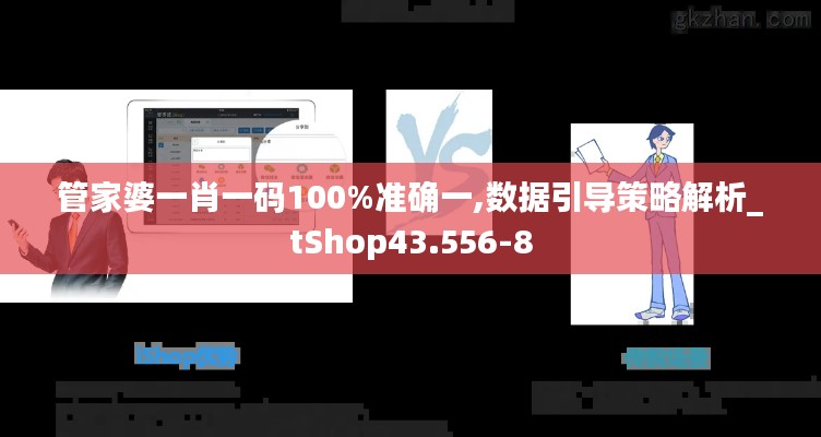 管家婆一肖一码100%准确一,数据引导策略解析_tShop43.556-8
