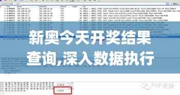 新奥今天开奖结果查询,深入数据执行方案_AR版85.411-6
