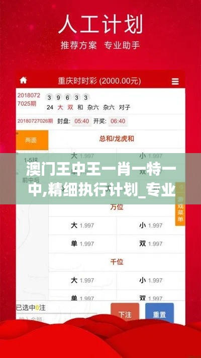 澳门王中王一肖一特一中,精细执行计划_专业款125.911-6