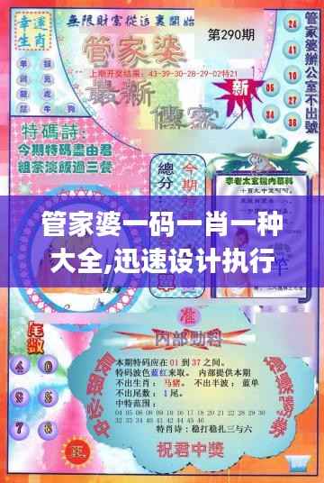 管家婆一码一肖一种大全,迅速设计执行方案_标准版25.342-9