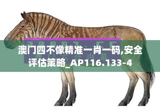 澳门四不像精准一肖一码,安全评估策略_AP116.133-4