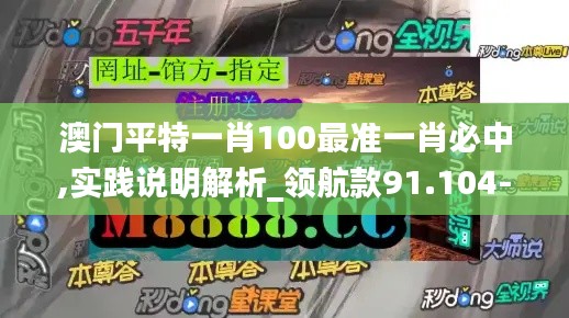 澳门平特一肖100最准一肖必中,实践说明解析_领航款91.104-8