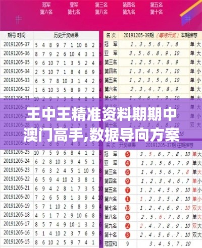 王中王精准资料期期中澳门高手,数据导向方案设计_YE版78.571-3