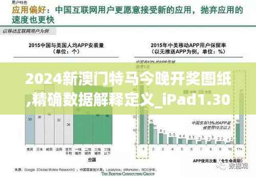 2024新澳门特马今晚开奖图纸,精确数据解释定义_iPad1.309