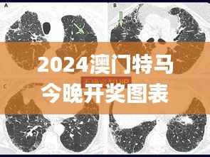 2024澳门特马今晚开奖图表,动态词汇解析_CT8.980