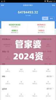 管家婆2024资料精准大全,快捷解决方案_XE版1.610