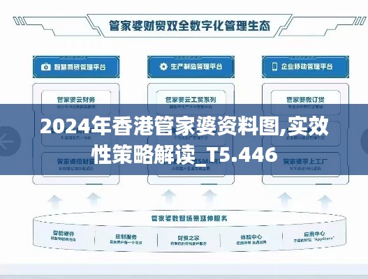 2024年香港管家婆资料图,实效性策略解读_T5.446