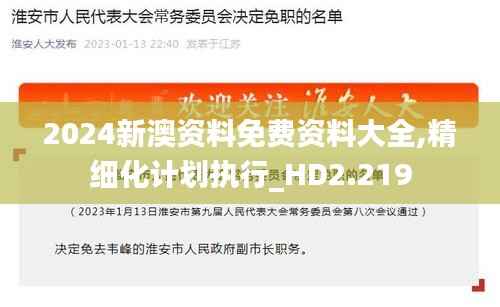 2024新澳资料免费资料大全,精细化计划执行_HD2.219