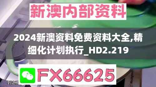 2024新澳资料免费资料大全,精细化计划执行_HD2.219