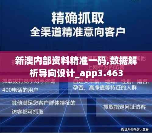 新澳内部资料精准一码,数据解析导向设计_app3.463