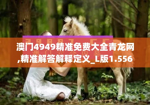 澳门4949精准免费大全青龙网,精准解答解释定义_L版1.556