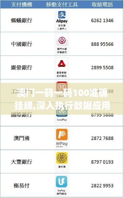 澳门一码一码100准确挂牌,深入执行数据应用_钱包版10.104